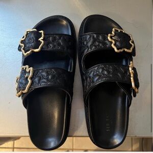 Ted Baker Black Sandals with Gold Accents